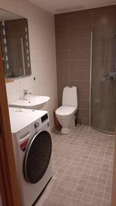 塔林Puhas 2 toaline Kakumäe korter的浴室配有卫生间、盥洗盆和洗衣机。