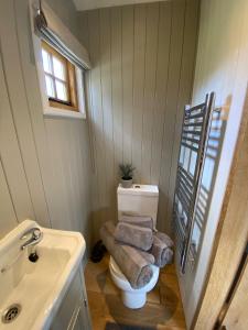 彻克Kingfisher的一间带卫生间和水槽的浴室