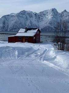 HamnnesLyngen Biarnes- Nordreisa的雪中的一个红色谷仓,背景是群山