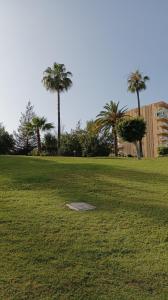 贝纳尔马德纳Benaldream的一片种满棕榈树的草地和一座建筑