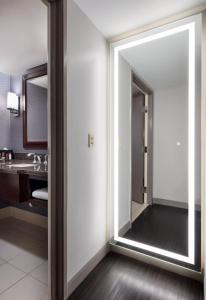 维塞利亚会展中心维塞利亚万豪酒店的一个带水槽的浴室内的一面大镜子