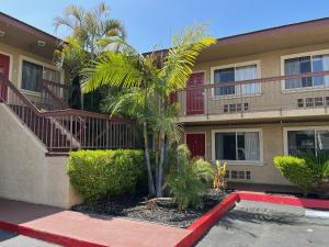 皮科里韦拉Rivera Inn & Suites Motel的一座建筑前的棕榈树