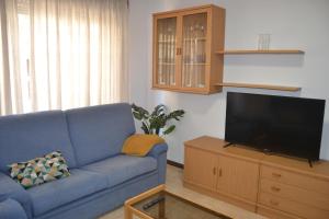 波多诺伏Apartamento Puente的客厅配有蓝色的沙发和平面电视。