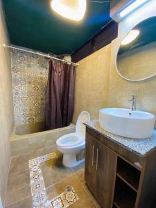 里奥班巴Puruha Inn的一间带水槽、卫生间和淋浴的浴室