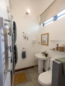 沙马雷勒Green Cottage Chamarel的白色的浴室设有水槽和卫生间。
