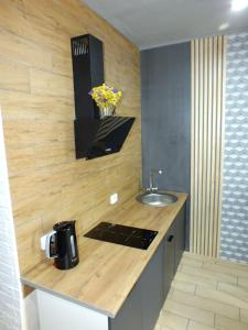 尤日内Smart apartment的厨房配有带水槽和水槽的台面