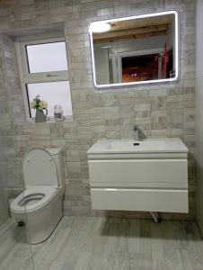 查尔斯敦Tiernan's Luxury Cottages的一间带卫生间、水槽和镜子的浴室
