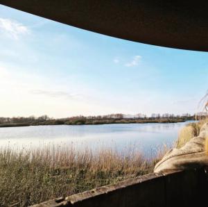 羊角村Tiny house Giethoorn的从栅栏可欣赏到湖泊美景
