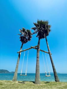NishinouraAlba HOTEL & Glamping的海滩上的两棵棕榈树,带秋千