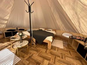 TuchomieBrzozowisko Tuchomko - Glamping的带帐篷、床和桌子的客房