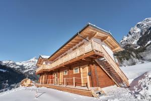 JohnsbachXeis Natur Apartments的山中雪地中的小木屋