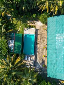 乌纳瓦图纳Abundia Unawatuna的享有棕榈树游泳池的顶部景致