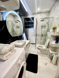 布瓦西圣雷热Alexandru Home的浴室配有盥洗池、卫生间和镜子。