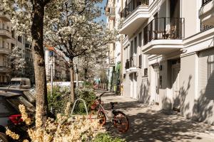 柏林Family-friendly apartment in the center of Berlin的停在街道上树旁边的自行车