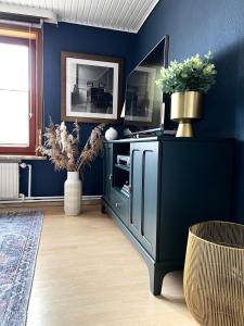 比苏姆"Ohuus" Ferienhaus mit Garten的客厅设有蓝色的墙壁和黑色的橱柜。