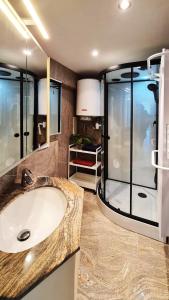 奥斯坦德Maui - zeezichtappartement te Oostende的一间带水槽和玻璃淋浴的浴室