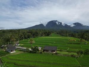 贾蒂卢维KUBU D'UME HOMESTAY的享有以山为背景的农场的空中景致