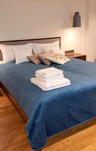 华沙Falcon Apartment Center 2 Metro Złote Tarasy的一张带蓝色毯子和枕头的床