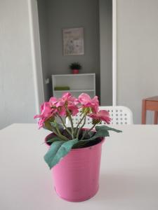格德勒Palota Apartman的一张桌子上的一个粉红色盆栽植物