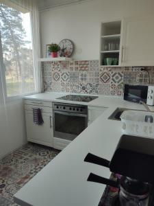 格德勒Palota Apartman的白色的厨房设有水槽和炉灶。