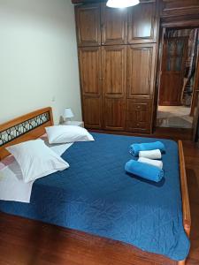 MantoúkionSavvas&Katia's luxury house的一间卧室配有一张带蓝色床单和枕头的床。
