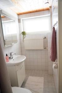 埃斯波Lovely studio in Leppävaara的一间带水槽和卫生间的浴室以及窗户。