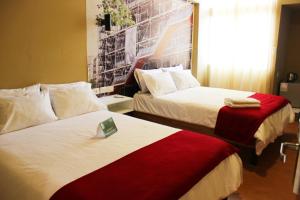 塔克纳Terra Suites Ecogreen的酒店客房设有两张挂在墙上的床铺。