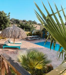 威廉斯塔德Casa di Caribe - palmtree的一个带椅子和遮阳伞的庭院和一个游泳池