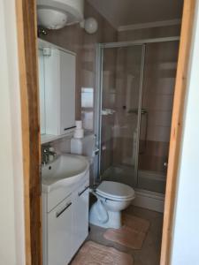 波弗加纳Apartments Ivan的浴室配有卫生间水槽和淋浴。