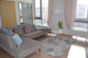 派尔努Aida 5 City Center Apartment的客厅配有沙发和桌子