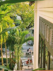 会安An Hiên Homestay Hội An的棕榈树房屋享有街道景致