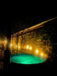 HybyHybský dom的夜间游泳池