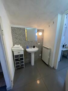 米兰米兰运河公寓的一间带水槽和镜子的浴室