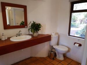 白河Heuglins Lodge的一间带卫生间、水槽和镜子的浴室