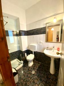 SpílionCostas Inn的一间带卫生间、水槽和镜子的浴室