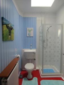 邓迪Athollbank Guest House的浴室设有卫生间和带牛油画的淋浴。