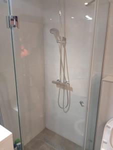 瓦列沃Stan na dan Sale 014的浴室里设有玻璃门淋浴