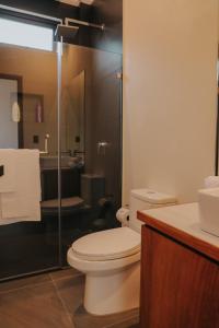 帕纳哈切尔Lahos Apartament's的一间带卫生间和玻璃淋浴间的浴室