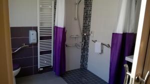 贡捷堡Contact Hôtel du Cerf的浴室配有带紫色淋浴帘的淋浴