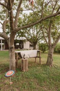 卡梅隆El Rincón. Farm and Lodge的坐在树下,靠近飞盘的长凳