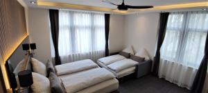 乌尔丁根-米赫尔霍芬乌尔盯格霍夫宾馆的带沙发和吊扇的客厅