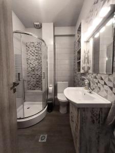 约阿尼纳Apartment的一间带水槽、淋浴和卫生间的浴室