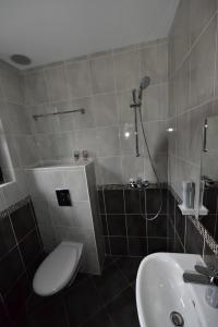 斯塔佐扎格斯基巴尼Boutique Hotel Lyulyak的带淋浴、卫生间和盥洗盆的浴室