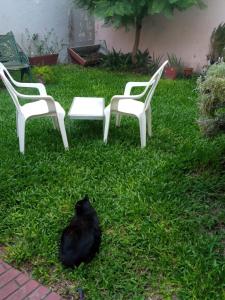Villa AdelinaHabitación con baño privado Regis Haus的一只黑猫坐在草地上,旁边两把椅子