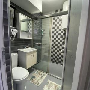 普里什蒂纳Rita Apartment in the heart of Pristina,Kosovo的带淋浴、卫生间和盥洗盆的浴室