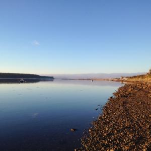 福里斯Driftwood Cottage, Findhorn Village的享有一大片水景