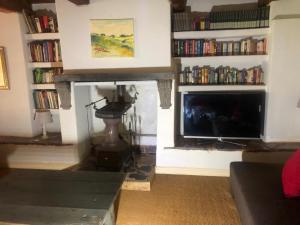 哈特比斯普特Mill Lane Farmhouse的客厅设有壁炉和电视。