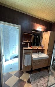 尼赖吉哈佐Prémium Apartman Nyíregyháza的浴室配有盥洗盆和带镜子的淋浴