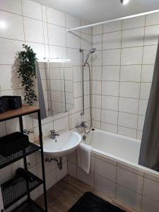 拜罗伊特Wagners Panorama的浴室配有盥洗盆和浴缸。