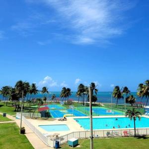 法哈多Ocean Zen的一座棕榈树和海洋的大型游泳池